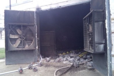 Пожар на токмакской птицефабрике