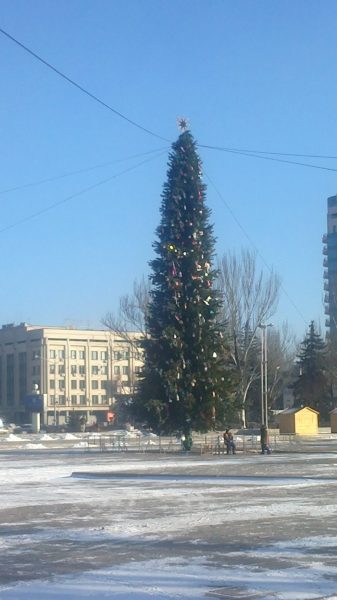 В Запорожье начался монтаж главной елки города