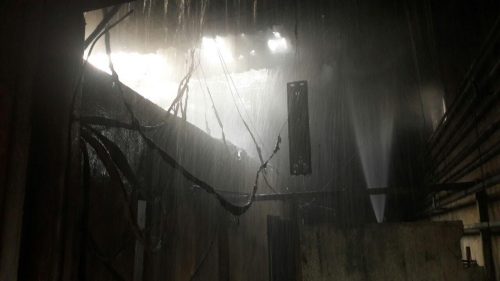 В Киеве горел зоопарк