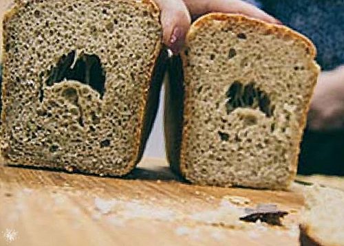 Как к стаду: россиян скармливают хлебом, выпеченным из фуражного зерна