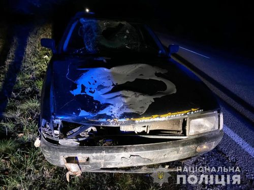 в районе Орехова под колесами иномарки, управляемой пьяным водителем, погиб велосипедист