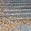 До кінця жовтня синоптики обіцяють теплу осінню погоду у Запоріжжі