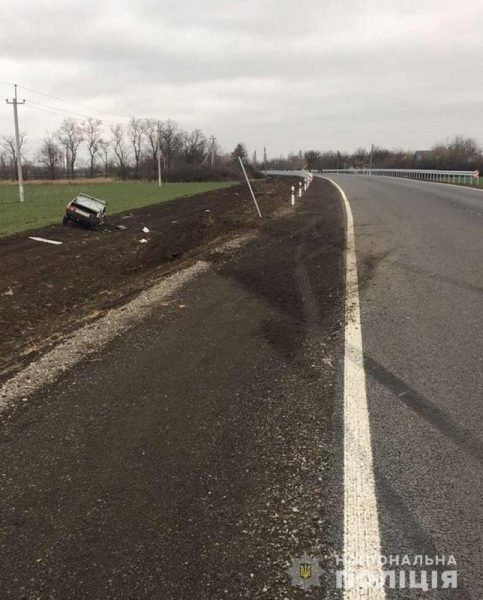 В Запорожской области водитель-лихач погиб в ДТП