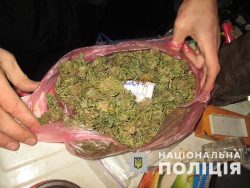Житель Вольнянска хранил в своем доме патроны и наркотики
