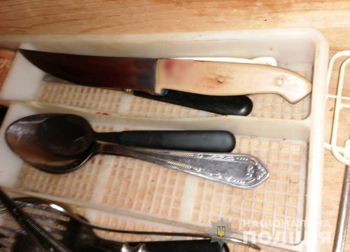 В Черниговке молодая женщина резанула себя ножом