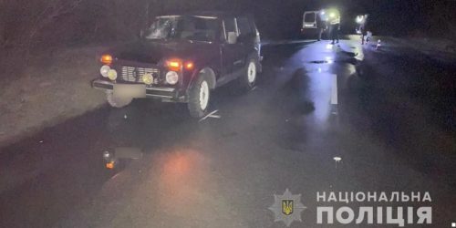 Под Молочанском дедушка погиб под колесами ВАЗ-Нивы