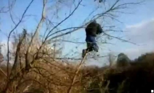 В Балабино пенсионер упал с дерева