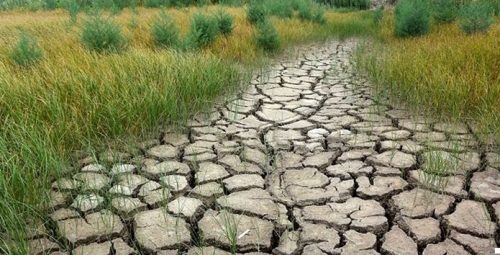 Климатологи пообещали украинцам жаркое засушливое лето 2021