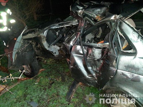 Под Новониколаевкой в ДТП погиб водитель, скрываясь от полиции