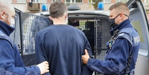 В Польше задержали украинца, пытавшегося украсть 120 посудомоечных машин