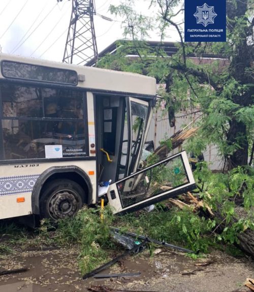 В Запорожье большой муниципальный пассажирский автобус влетел в дерево
