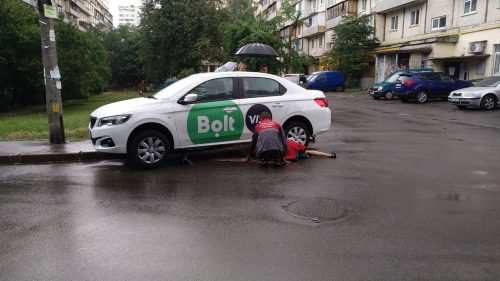 В Киеве из квартиры сбежала змея и хотела куда-то уехать на такси