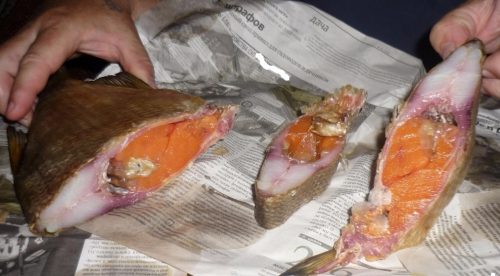 В Запорожье умерла женщина, съев в июне рыбу, зараженную ботулизмом: предприниматели уже 