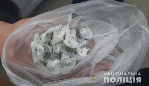 В Запорожье полиция задержала очередного наркоторговца