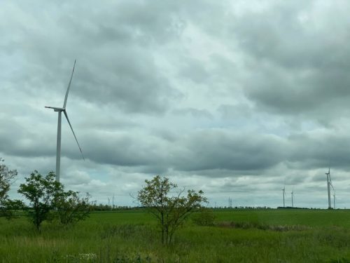 В Запорожской области запустили очередную ветроэлектростанцию (ВЭС)