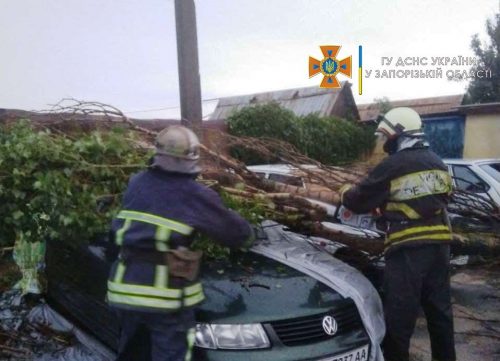В Бердянске ветер повалил дерево на автомобиль