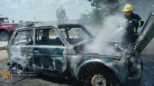 В Мелитопольском районе сгорели два легковых автомобиля