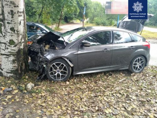 В Запорожье автоледи на своем авто врезалась в дерево
