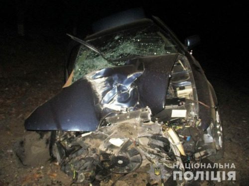 Между Черниговкой и Долгим, на юге Запорожской области, в ДТП пострадали двое мужчин