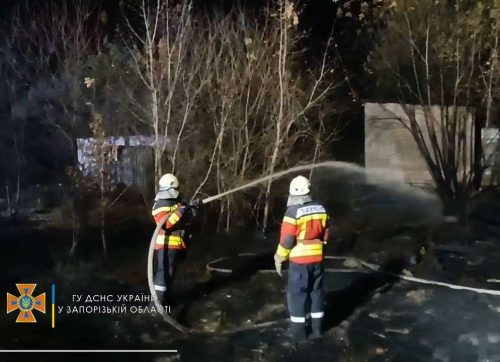 Пожар на Хортице в Запорожье