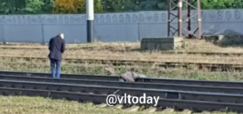 В Вольнянске пенсионер погиб под поездом