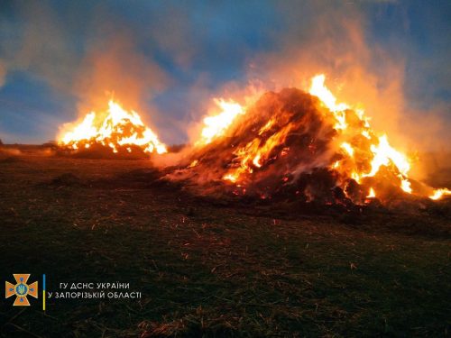 Два часа пожарные тушили в Николаевке, под Мелитополем, горящие скирды сена