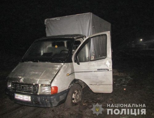 Полиция задержала в Новоднепровке мужчину, угнавшего грузовичок в Благовещенке