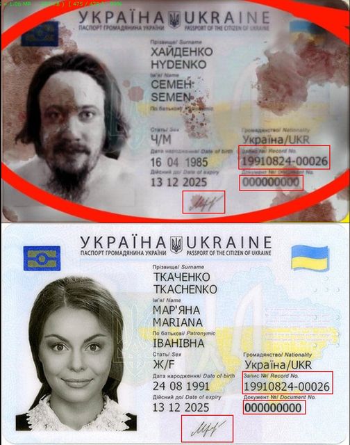 паспорт фейковый и из википедии