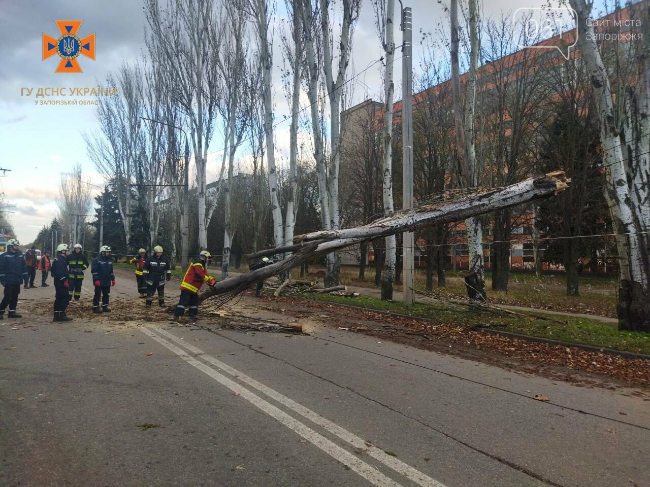 Прибирання повалених дерев на Дніпровському шосе в Запоріжжі