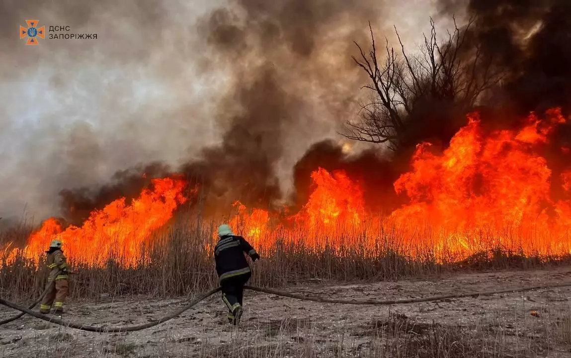 Пожежа у плавнях на Запоріжжі