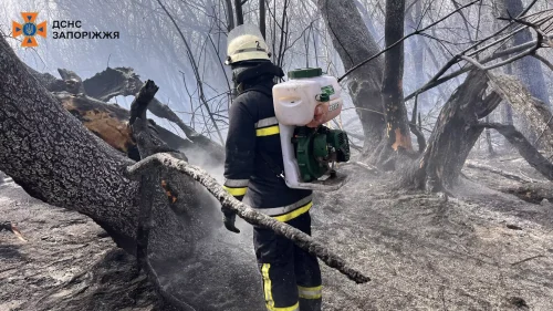 Пожежник у вигорілому лісі у плавнях