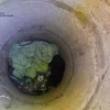 У Запоріжжі врятовано собаку, що впав у недіючий каналізаційний колодязь