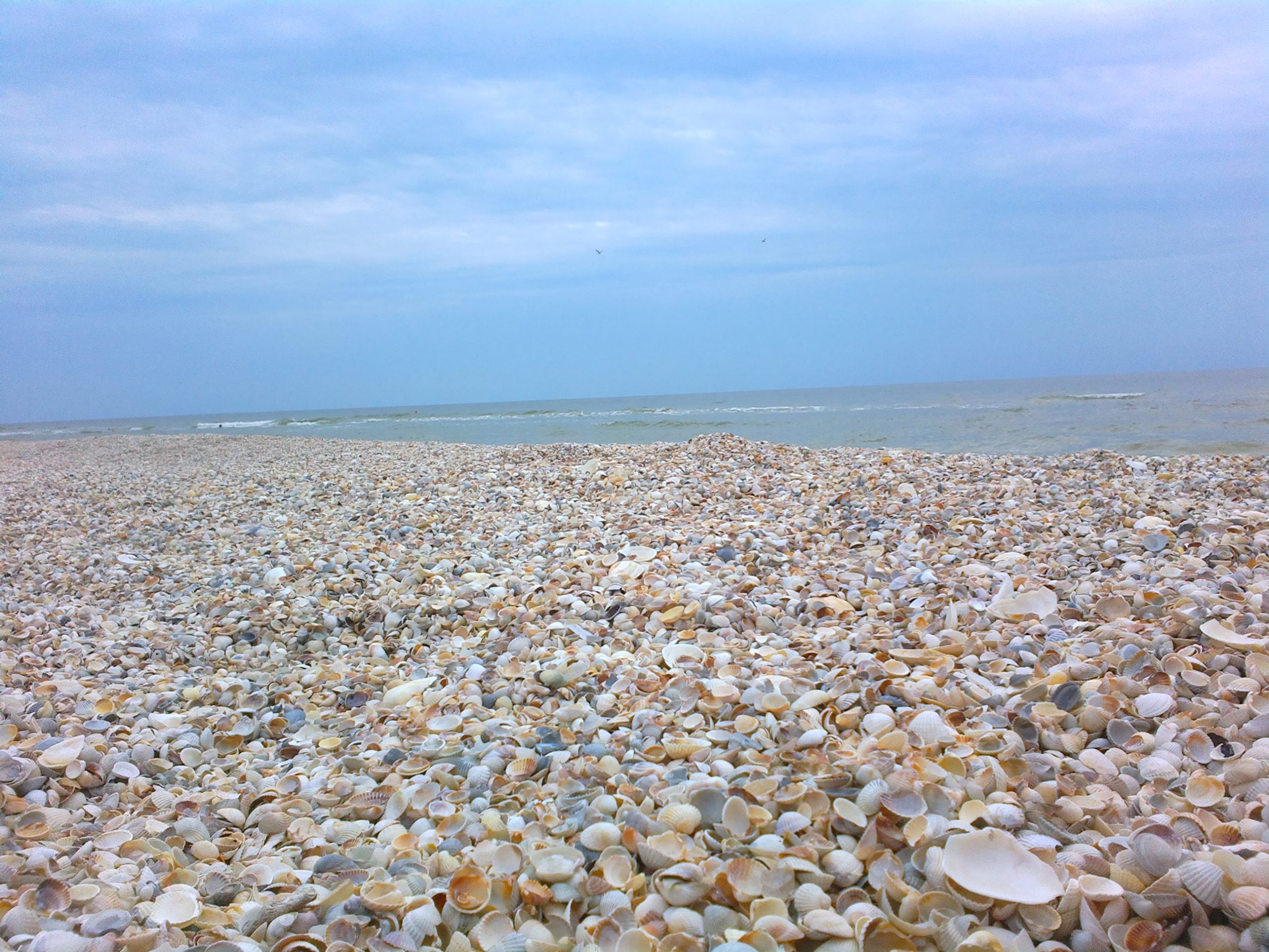 Берег Азовського моря. Коса (острів) Бірючий, Херсонська область
