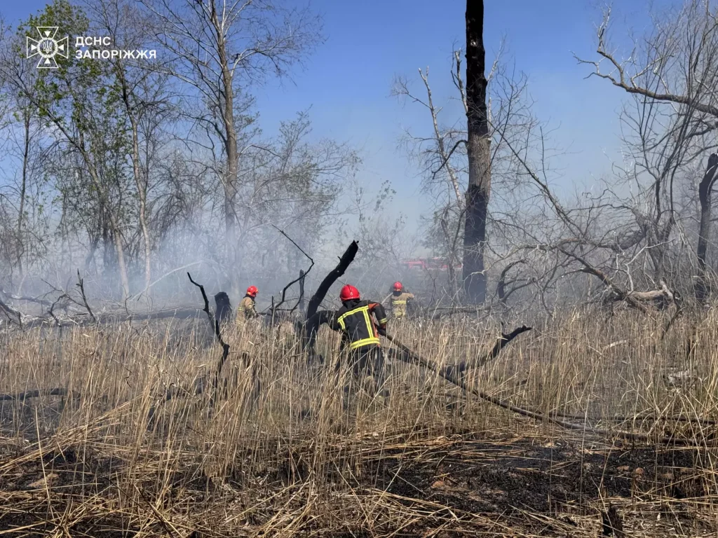 Пожежа у дніпровських плавнях у Запоріжжі