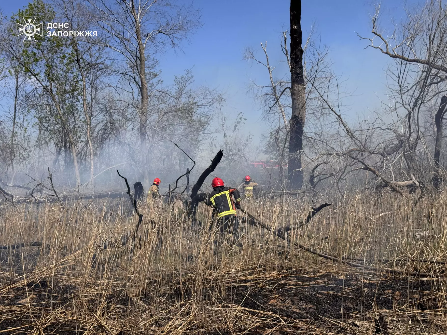 Пожежа у дніпровських плавнях у Запоріжжі