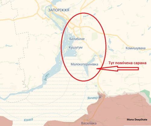 Сарана на Запоріжжі