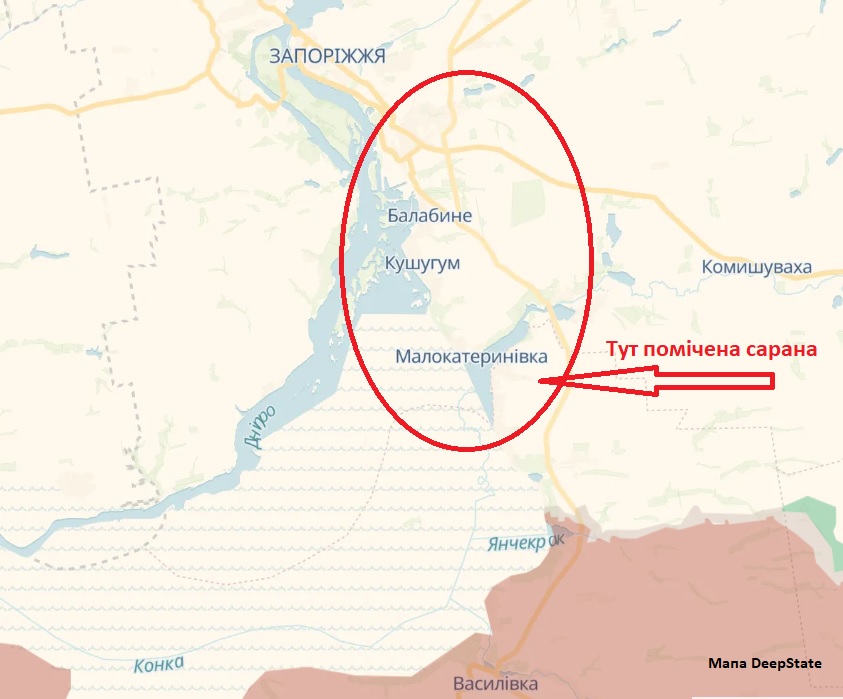 Сарана на Запоріжжі