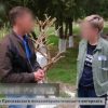 Директор інтернату з ТОТ Запорізької області постане перед судом за торгівлю людьми та колабораційну діяльність