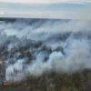 Рятувальники ліквідовують масштабну пожежу на острові Хортиця на півдні Запоріжжя