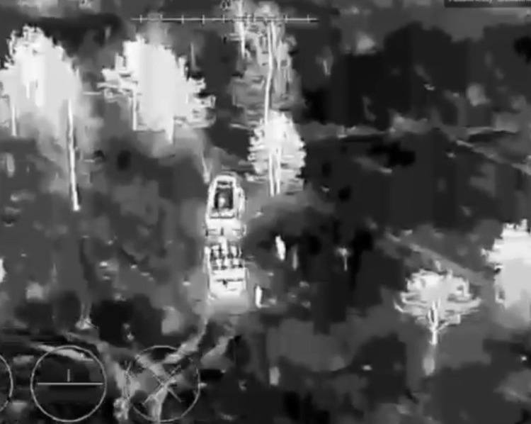 Бук уражено