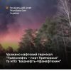 Уражено нафтовий термінал “Транснефть – порт Приморськ” та НПЗ “Башнефть-Уфанефтехим”: Генштаб ЗСУ