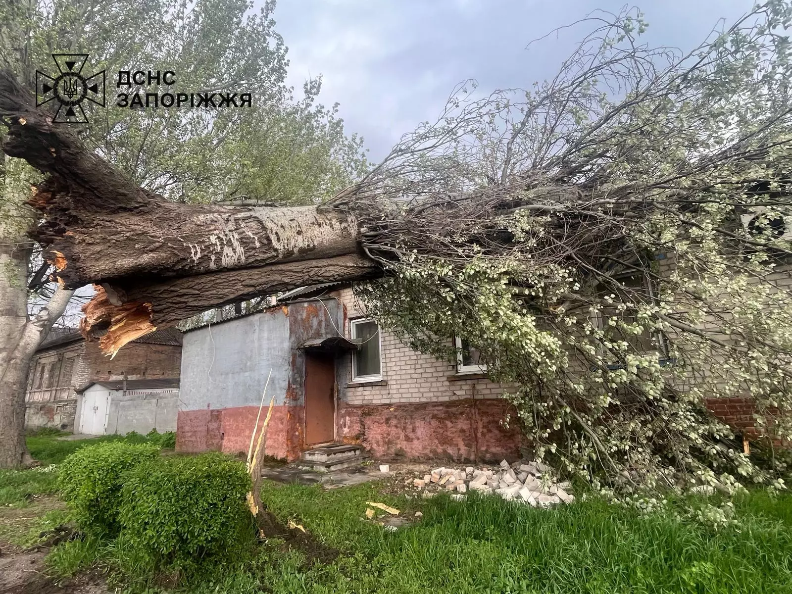 буревій
