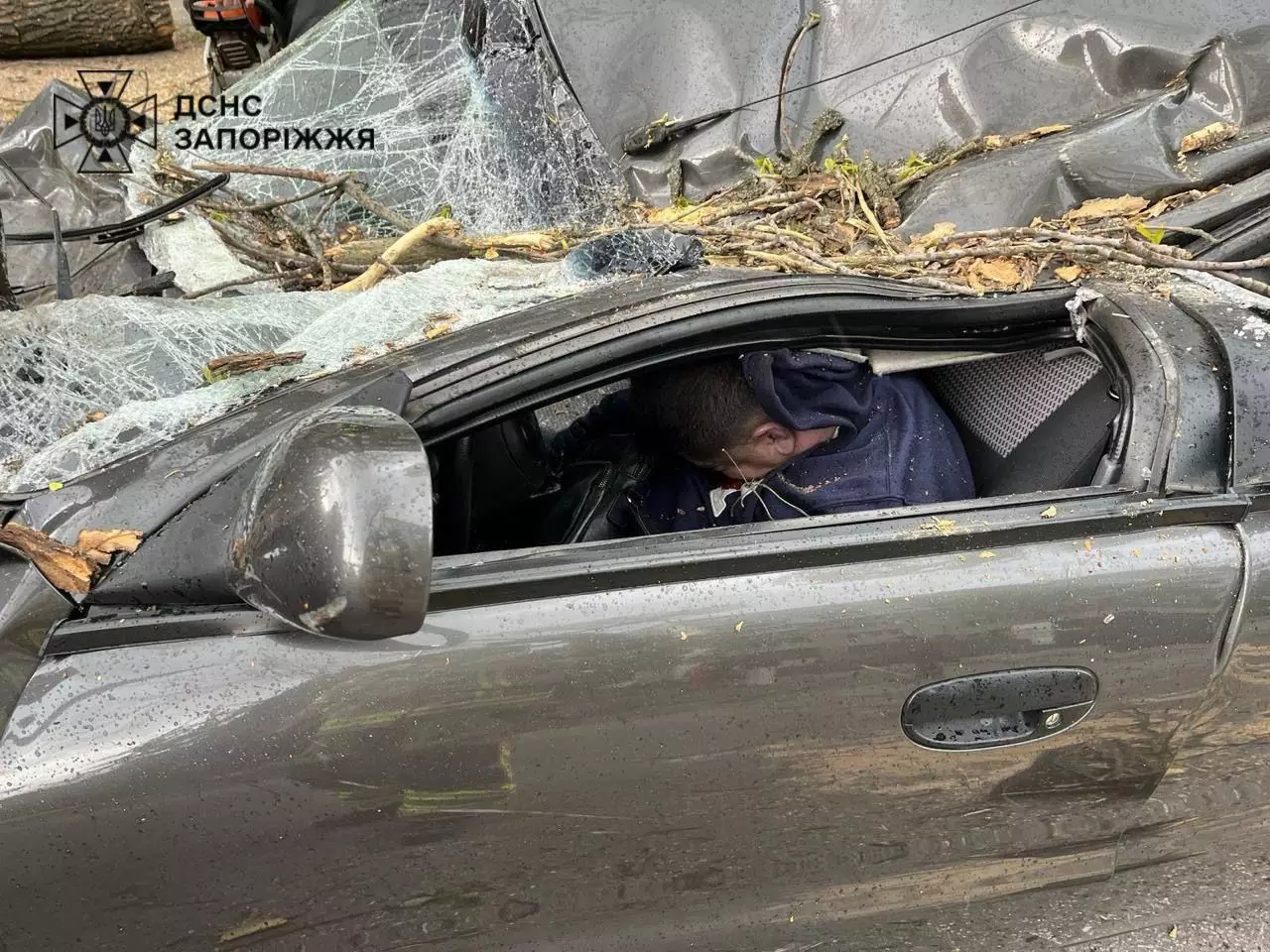 Дерево впало на автівку - загинув чоловік